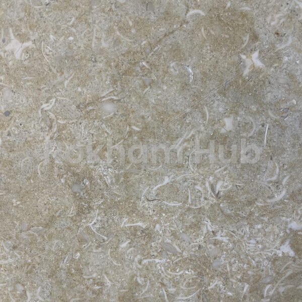صني منيا